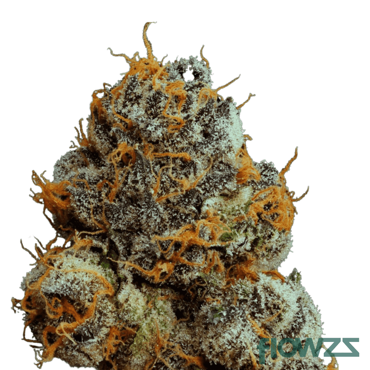 ZKITTLEZ X PERMANENT MARKER
