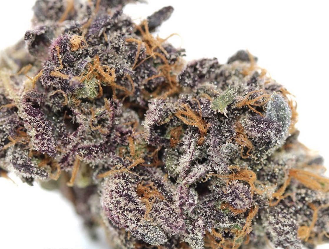 ZKITTLEZ X SUNSET SHERBET